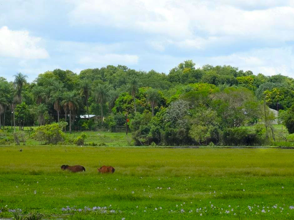 Turismo Rural en Bern de Astrada - Imagen: Corrientes.com.ar