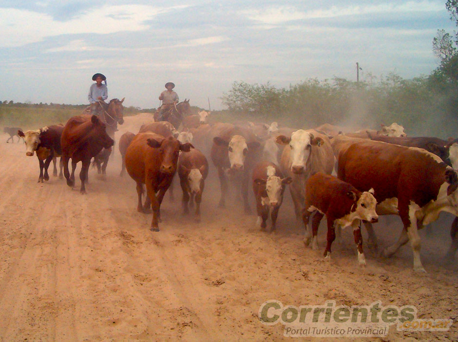 Turismo Rural en Carlos Pellegrini - Imagen: Corrientes.com.ar