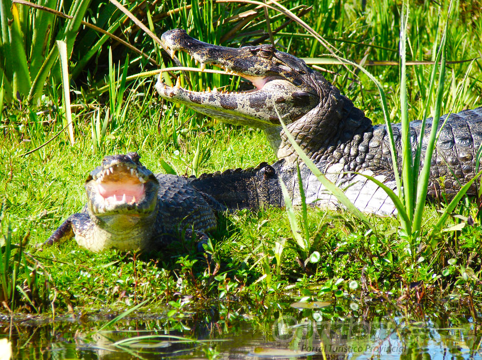 Turismo en Carlos Pellegrini - Imagen: Corrientes.com.ar