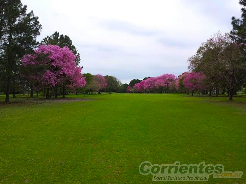 Golf en Corrientes Capital - Imagen: Corrientes.com.ar