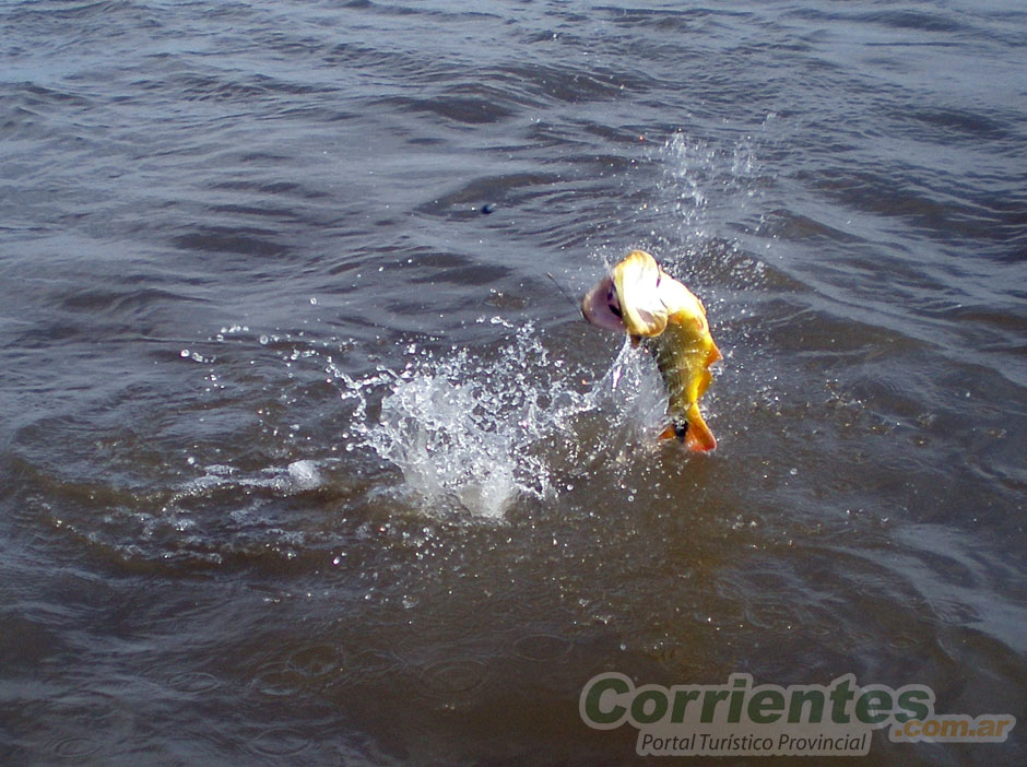 Pesca Deportiva en Esquina - Imagen: Corrientes.com.ar