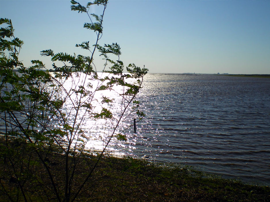 Pesca Deportiva en La Cruz