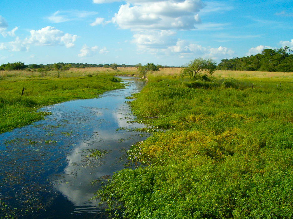 Historia de Mburucuy - Imagen: Corrientes.com.ar