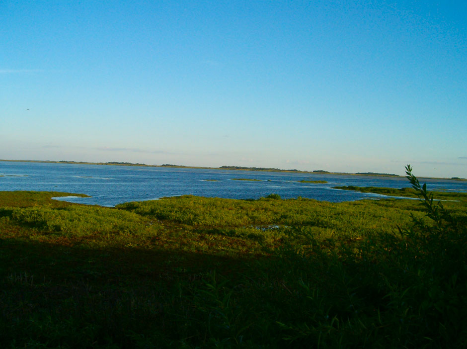 Parque Nacional Mburucuy - Imagen: Corrientes.com.ar