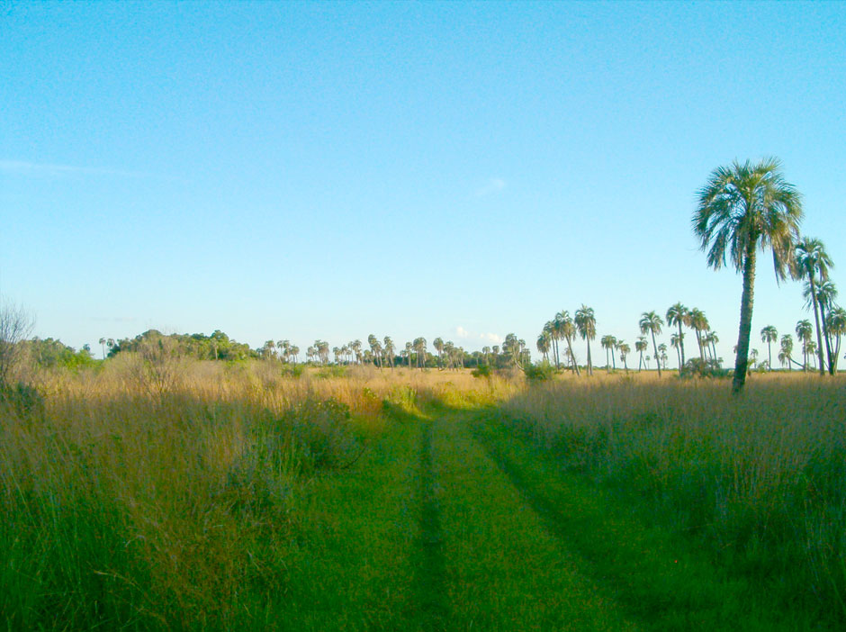 Parque Nacional Mburucuy - Imagen: Corrientes.com.ar