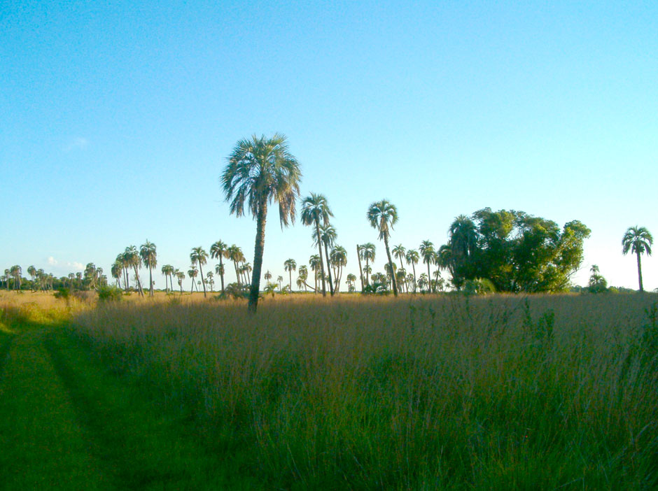 Parque Nacional Mburucuy - Imagen: Corrientes.com.ar