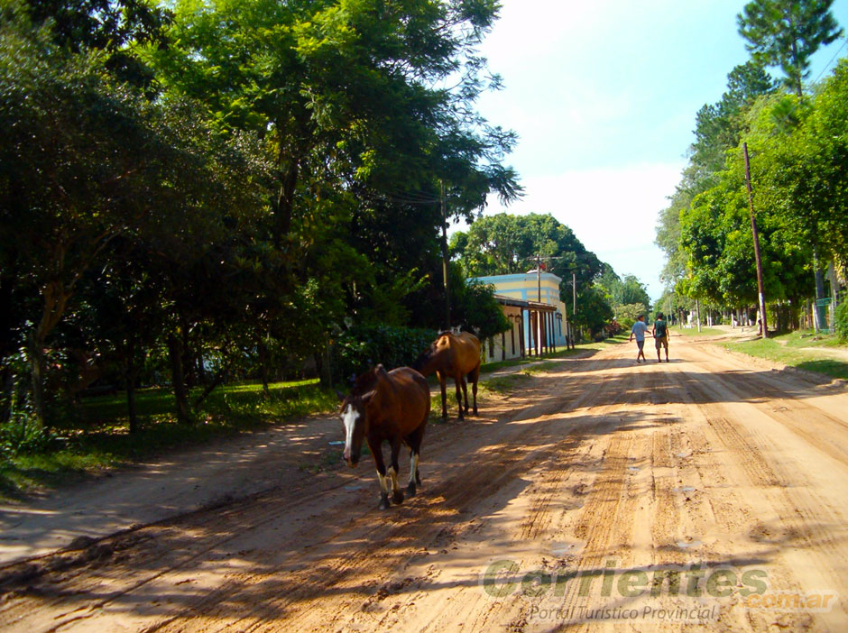 Galera de Imgenes de Santa Ana