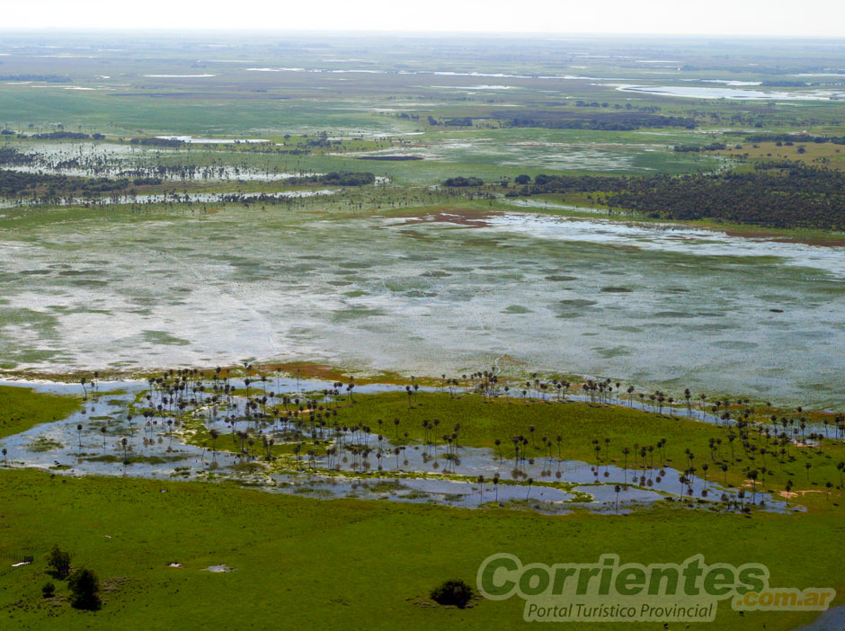 Esteros del Iber en Corrientes - Imagen: Corrientes.com.ar