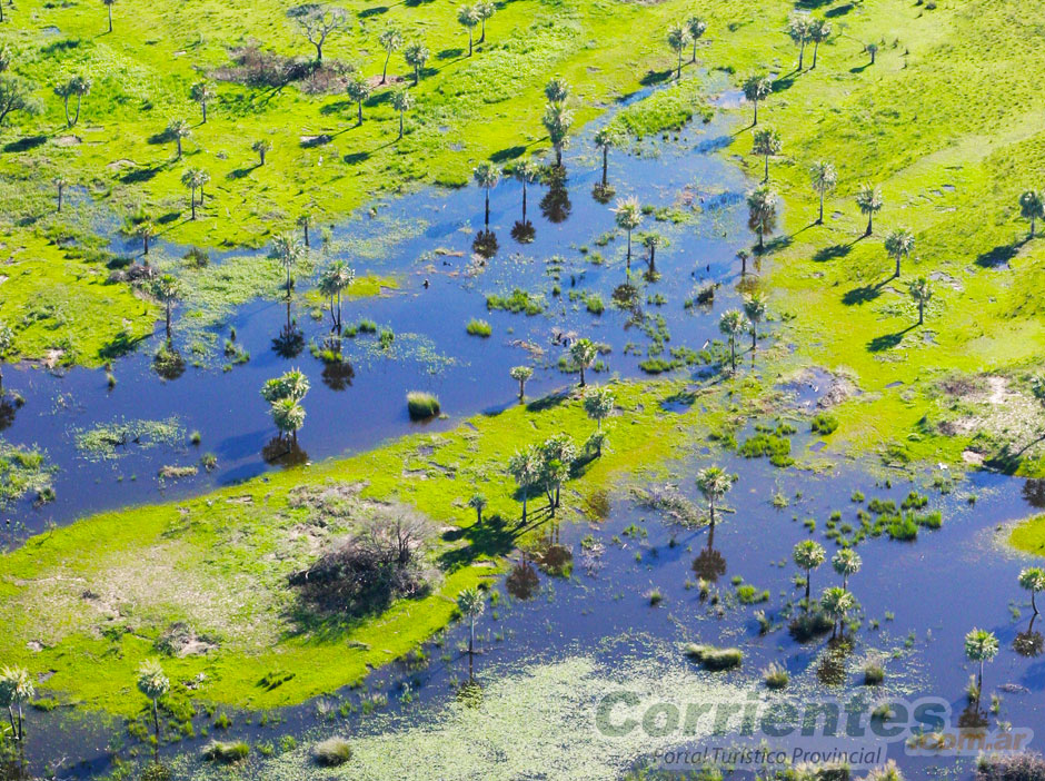 Esteros del Iber en Corrientes - Imagen: Corrientes.com.ar