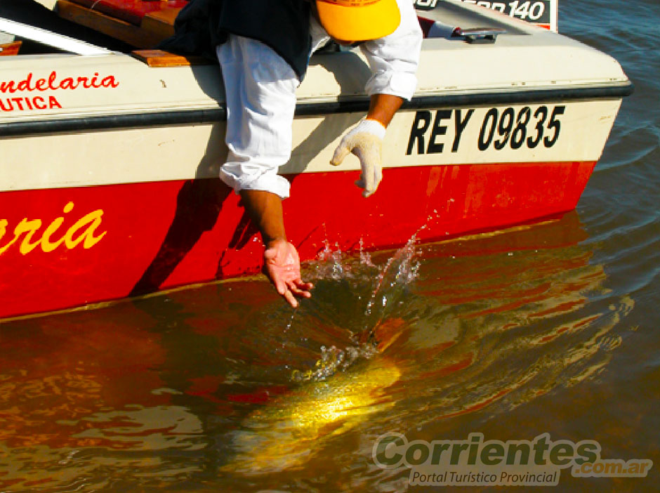 Cabo Corrientes Pesca