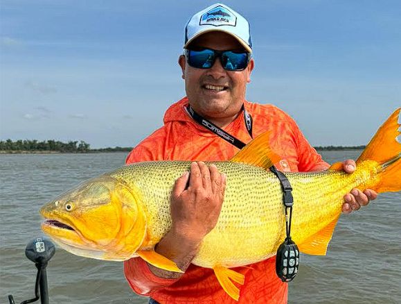 Pino Pesca
