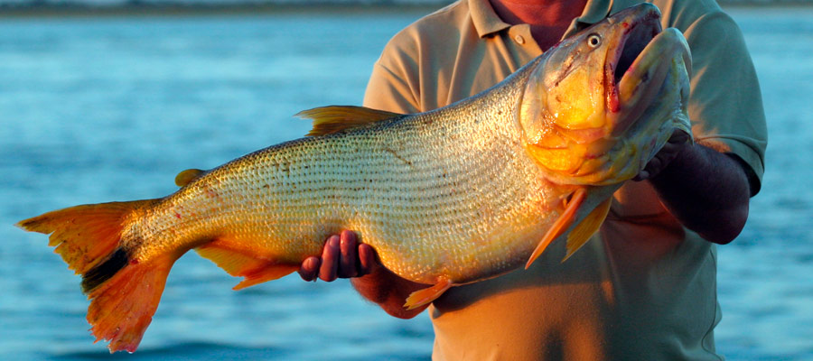 Pesca en Corrientes