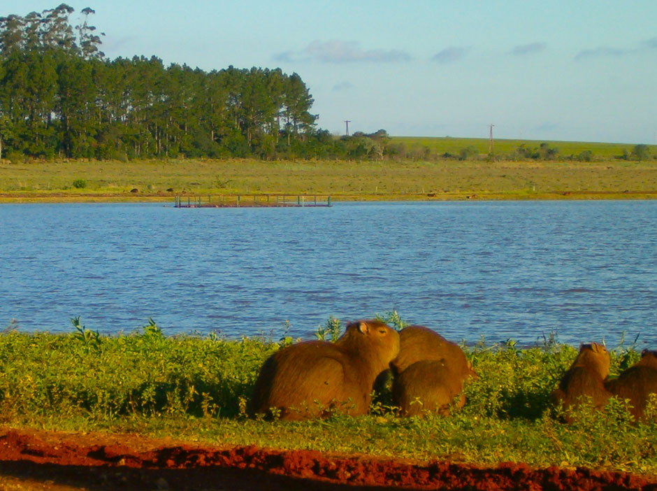 Turismo Alternativo de Virasoro - Imagen: Corrientes.com.ar